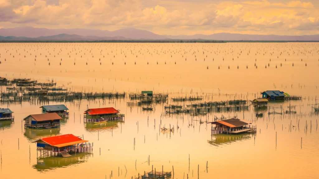 ทะเลสาบสงขลา